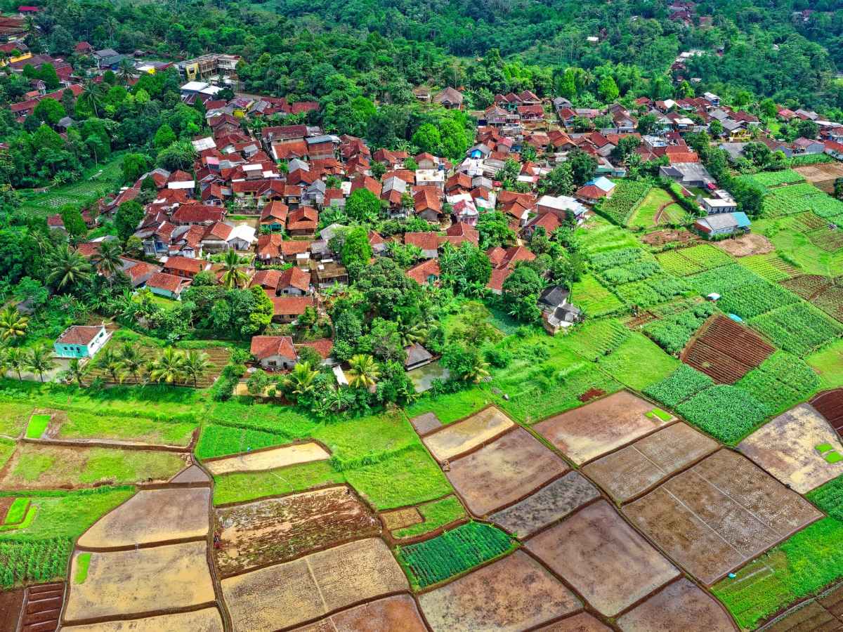 Modul 3: Hak Asasi Manusia &&nbsp;FPIC