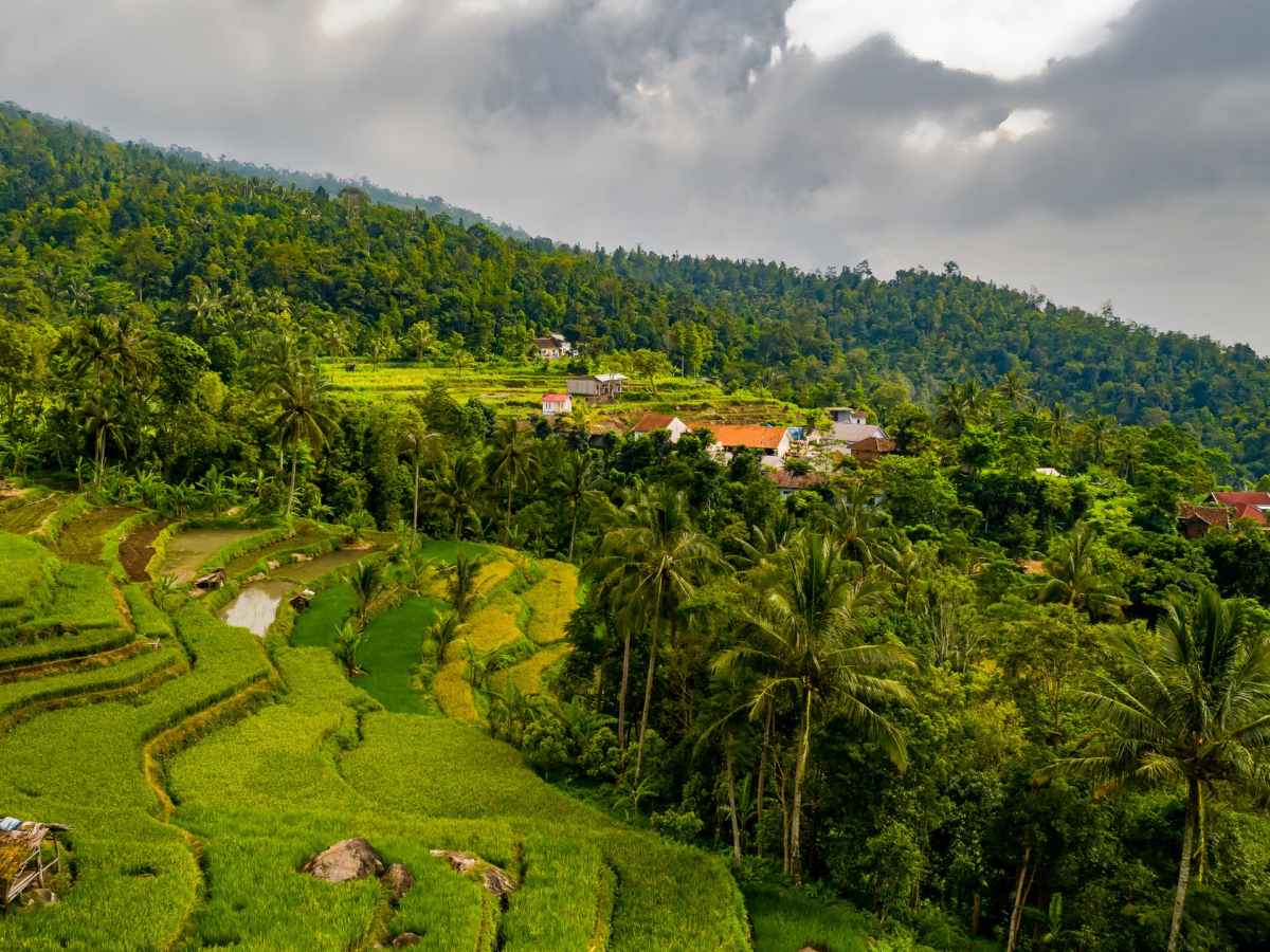 Modul 5: Pekebun Kecil&nbsp;Sawit